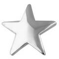 Silver Star Pin